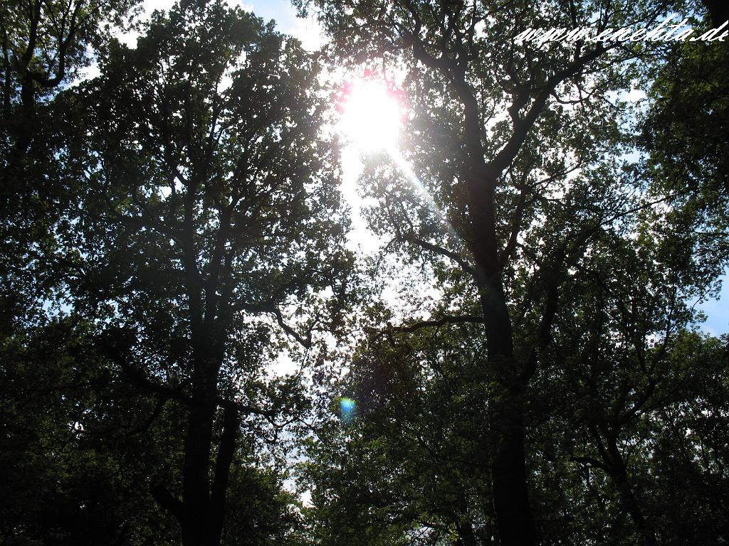Estor XIII -Hof- und Gerichtstag zu Tormis vom 24.07.2010-107.jpg